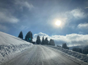 La forêt des Rennes Villard-Sur-Doron